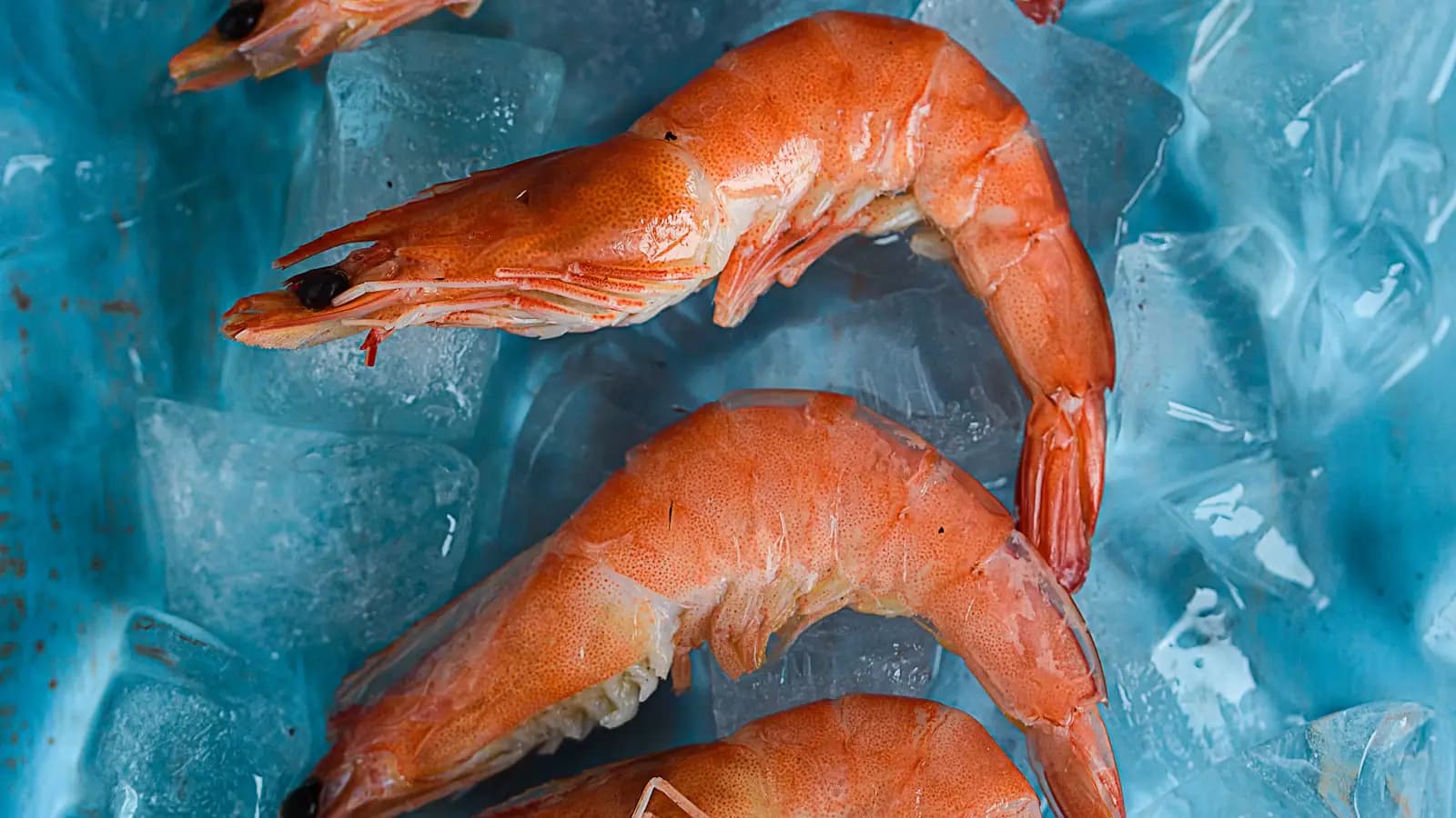 Raw shrimp laid out on crushed ice at a seafood counter