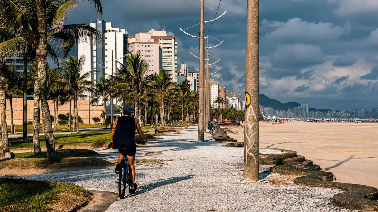 A cyclist riding a paved shoreline path lined with palm trees under heavy cloud