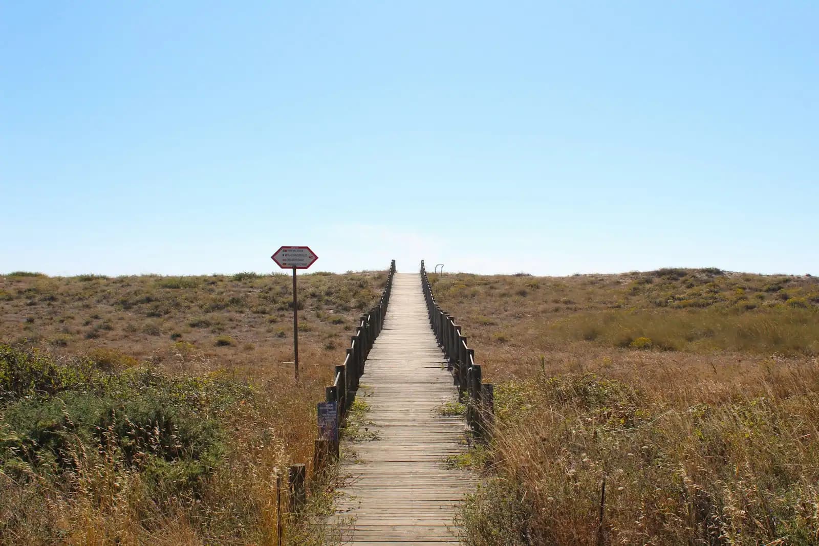 A timber boardwalk running out across low dune scrub towards the shore under a clear sky
