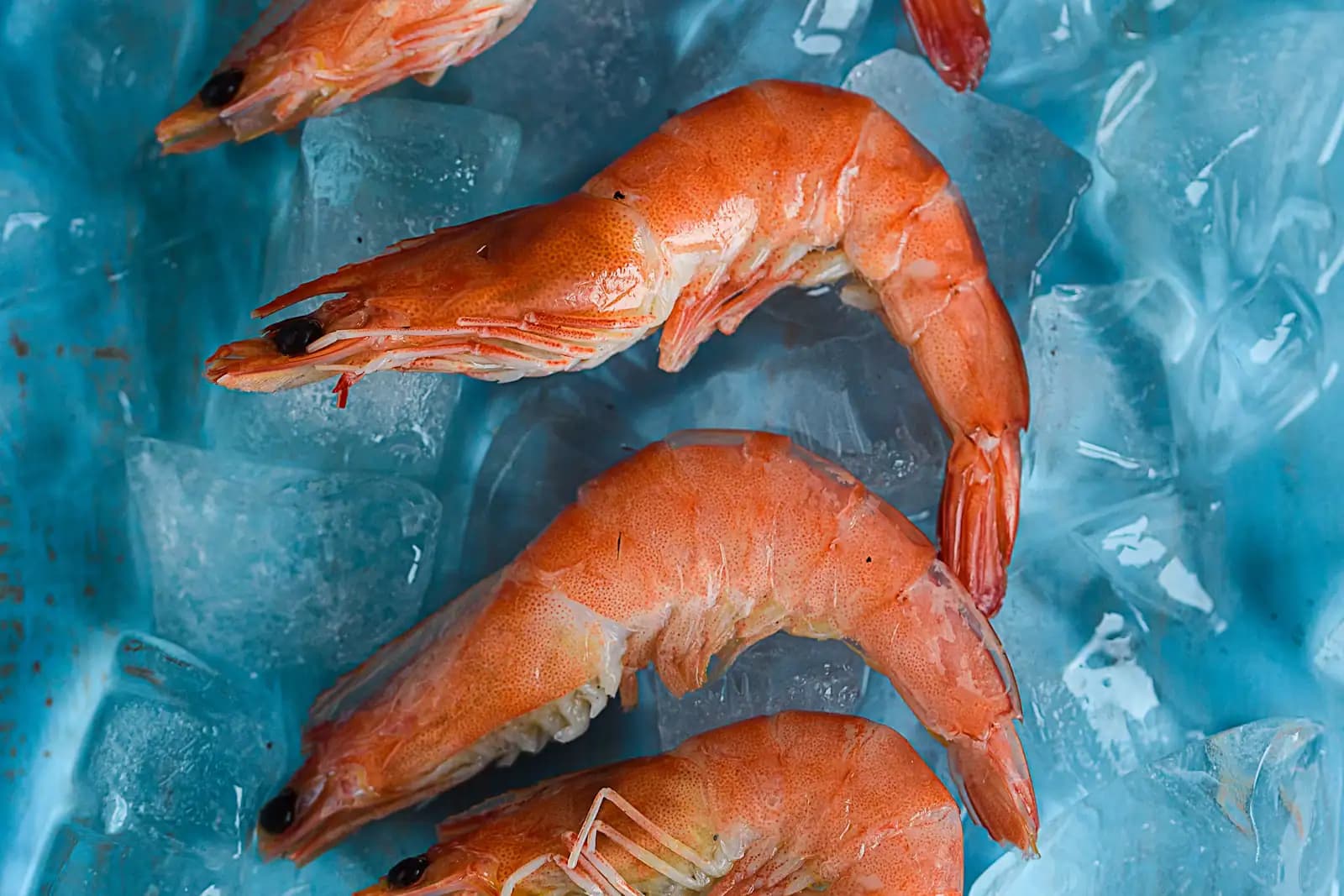 Raw shrimp laid out on crushed ice at a seafood counter