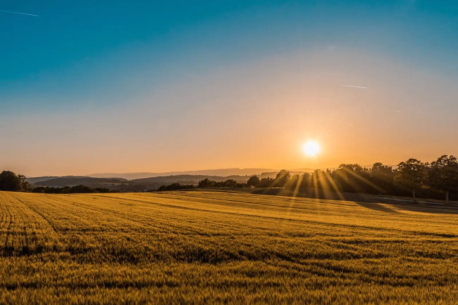 Low evening sun across a wide expanse of tall marsh grass