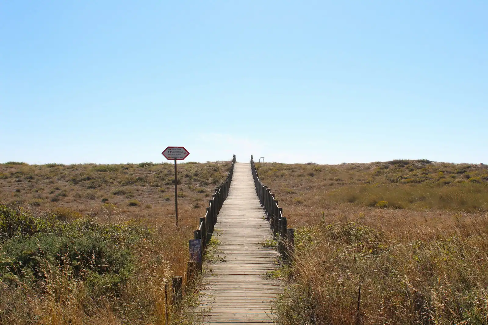 A timber boardwalk running out across low dune scrub towards the shore under a clear sky